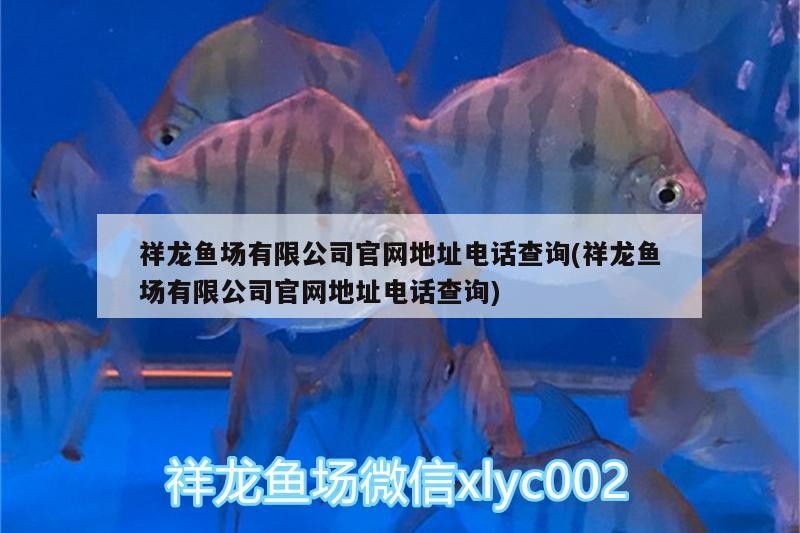 祥龍魚場有限公司官網(wǎng)地址電話查詢(祥龍魚場有限公司官網(wǎng)地址電話查詢)