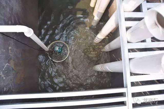 魚缸過濾器選購指南:自制魚缸過濾器魚缸上置過濾器對于養魚愛好者的必備知識 廣州魚缸批發市場地址在哪里(廣州魚缸批發市場地址在哪里啊) 魚缸百科 廣州魚缸批發市場地址在哪里(廣州魚缸批發市場地址在哪里啊) 廣州魚缸批發市場地址在哪里(廣州魚缸批發市場地址在哪里啊) 魚缸百科