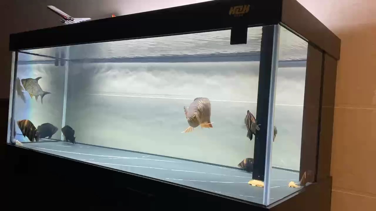 早晚溫差大加熱棒要開了