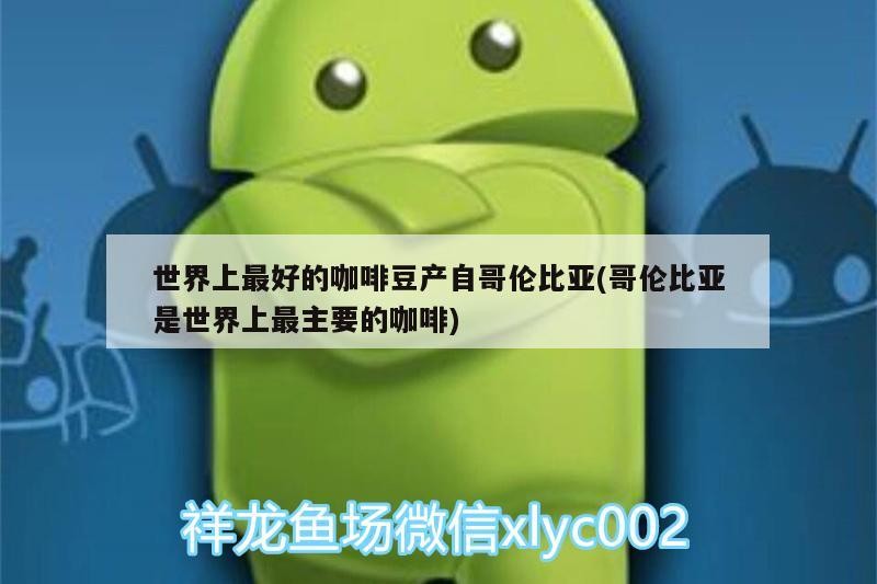世界上最好的咖啡豆產自哥倫比亞(哥倫比亞是世界上最主要的咖啡)