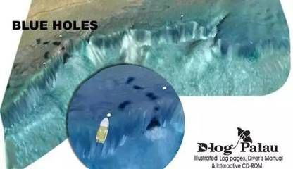 魟魚水深：賞魚的生活習性