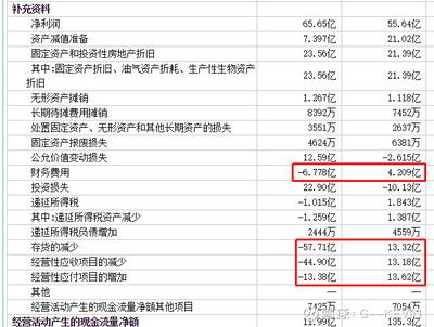 金龍魚現金流管理策略：金龍魚現金流管理優化案例