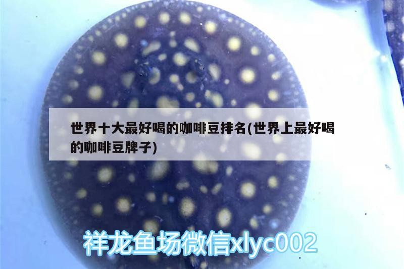 世界十大最好喝的咖啡豆排名(世界上最好喝的咖啡豆牌子)