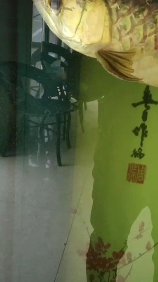 錫林浩特市錦卉花卉錫林大街店