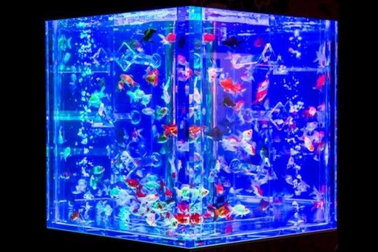 diy魚缸滴流盒過濾器怎么安裝：diy魚缸滴流盒過濾器的安裝方法