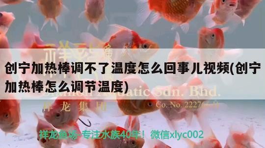 創寧加熱棒調不了溫度怎么回事兒視頻(創寧加熱棒怎么調節溫度)