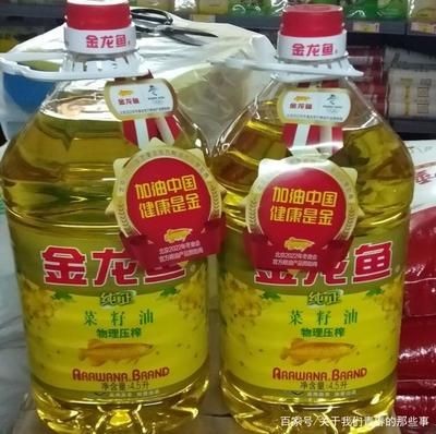 金龍魚為何這么貴，金龍魚為什么價格昂貴？
