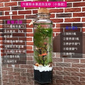 diy魚缸材料：diy魚缸制作材料