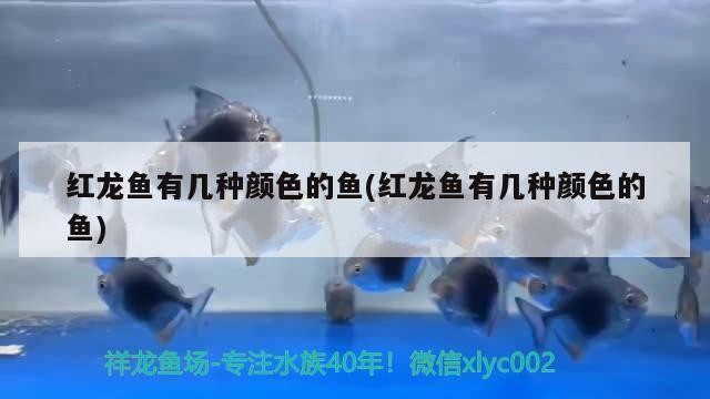 伊罕過濾桶濾材順序圖（伊罕過濾桶放什么濾材）