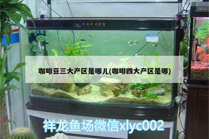金龍魚的壽命有多長，百度百科--金龍魚（美麗硬仆骨舌魚（美麗硬仆骨舌魚）