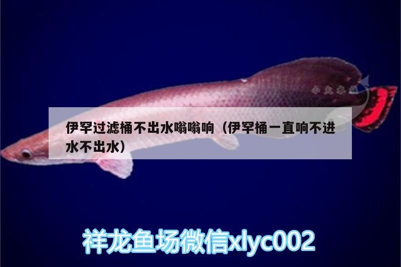 伊罕過濾桶不出水嗡嗡響（伊罕桶一直響不進水不出水）