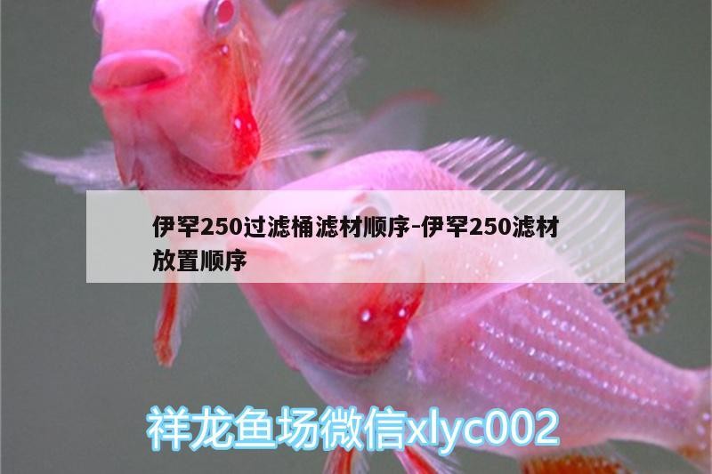 伊罕250過濾桶濾材順序:伊罕250濾材放置順序