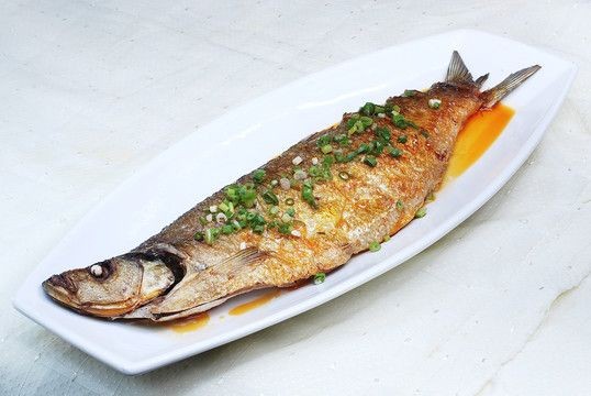 30種常見熱帶觀賞魚大白魚：30種常見熱帶觀賞魚品種