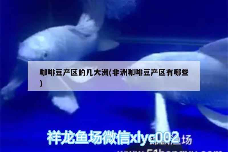 咖啡豆產區的幾大洲(非洲咖啡豆產區有哪些)