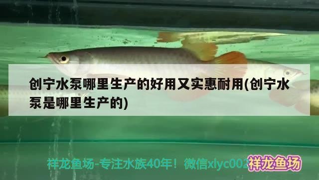 創(chuàng)寧水泵哪里生產(chǎn)的好用又實(shí)惠耐用(創(chuàng)寧水泵是哪里生產(chǎn)的)