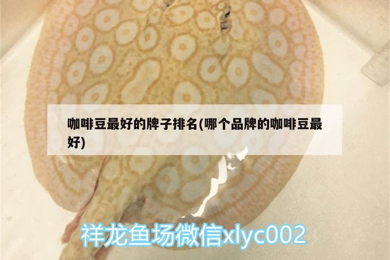 咖啡豆最好的牌子排名(哪個品牌的咖啡豆最好)