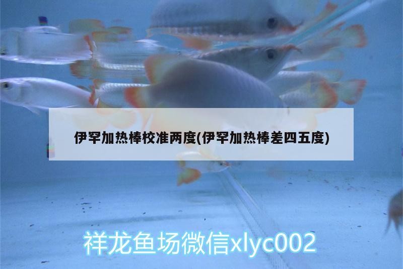 伊罕加熱棒校準兩度(伊罕加熱棒差四五度)