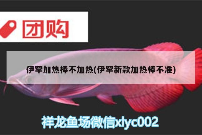 伊罕加熱棒不加熱(伊罕新款加熱棒不準(zhǔn))