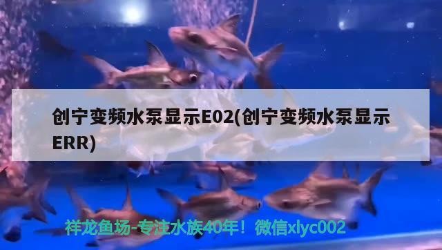創寧變頻水泵顯示E02(創寧變頻水泵顯示ERR)