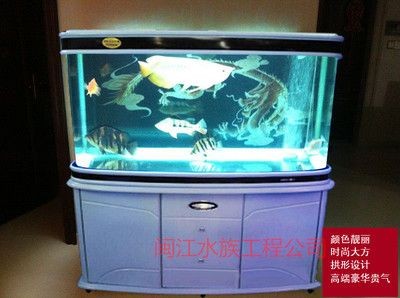 80的魚缸上濾可以嗎：80厘米長的魚缸上濾的優點和缺點和注意事項和注意事項