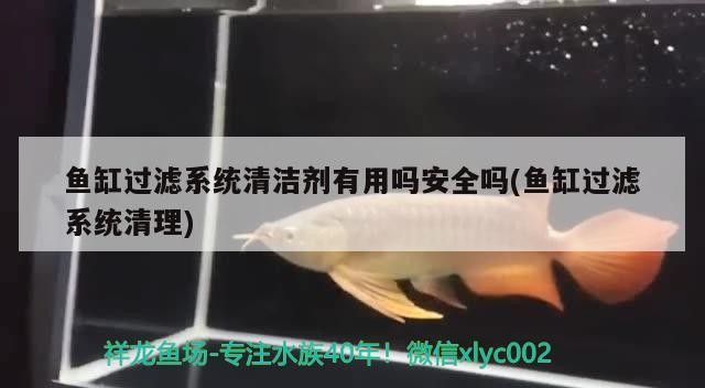 魚缸過濾系統清潔劑有用嗎安全嗎(魚缸過濾系統清理)