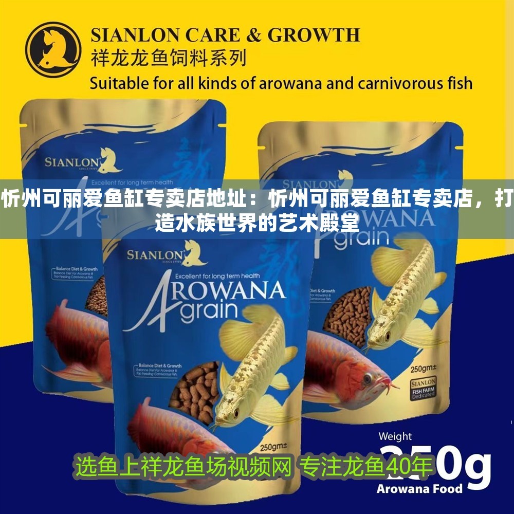 忻州可麗愛魚缸專賣店地址：忻州可麗愛魚缸專賣店，打造水族世界的藝術殿堂