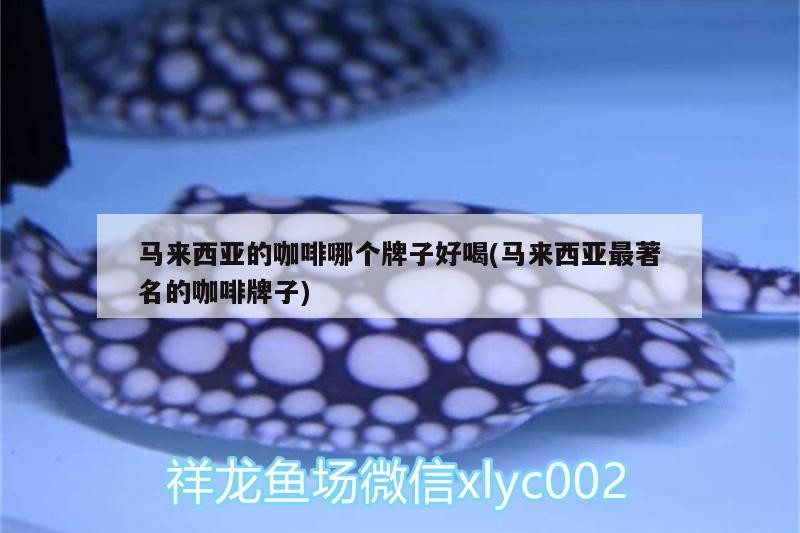 馬來西亞的咖啡哪個牌子好喝(馬來西亞最著名的咖啡牌子)