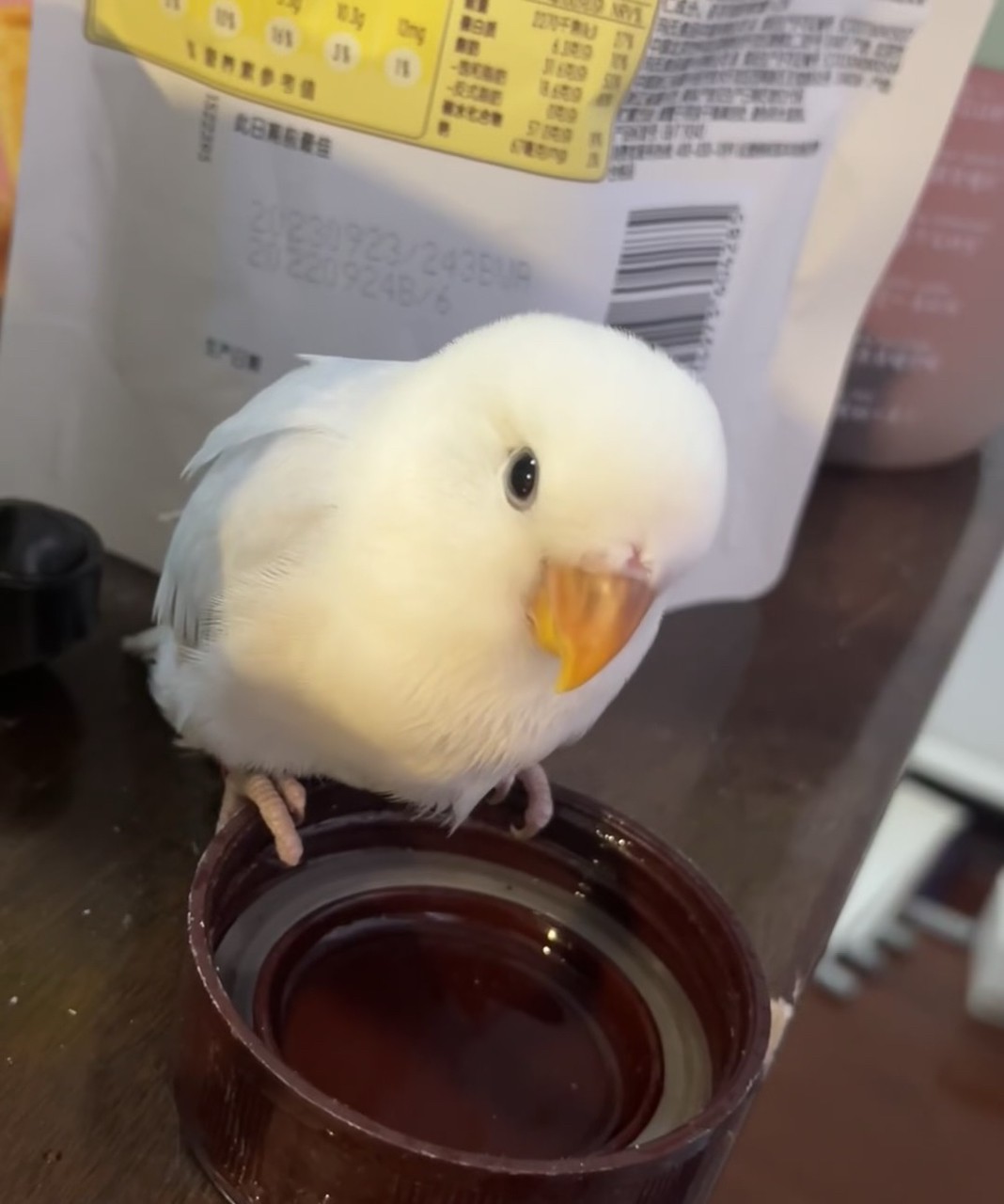 藍伊莎公低價出喜歡的私