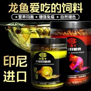 印尼小紅龍魚日常飼料選擇：印尼小紅龍魚日常飼料選擇的建議和管理建議