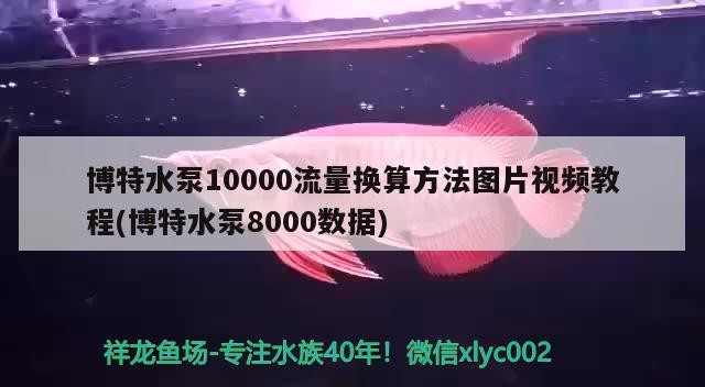 博特水泵10000流量換算方法圖片視頻教程(博特水泵8000數據)