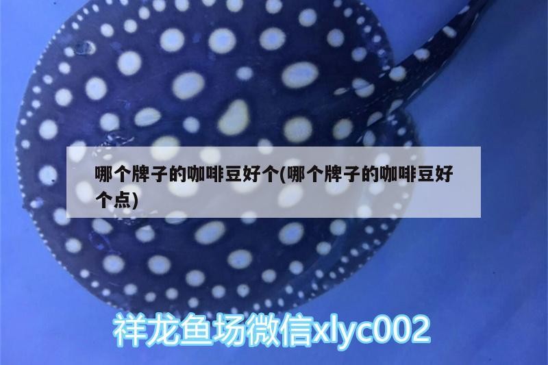 哪個牌子的咖啡豆好個(哪個牌子的咖啡豆好個點(diǎn))