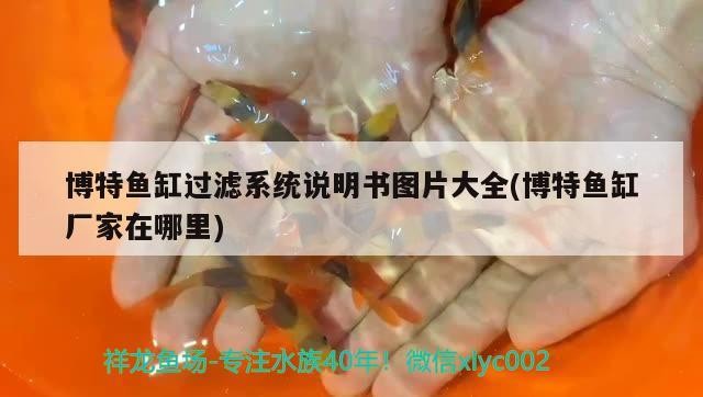 飼料 博特魚缸過濾系統說明書圖片大全(博特魚缸廠家在哪里) 博特水族 博特魚缸過濾系統說明書圖片大全(博特魚缸廠家在哪里) 博特魚缸過濾系統說明書圖片大全(博特魚缸廠家在哪里) 博特水族
