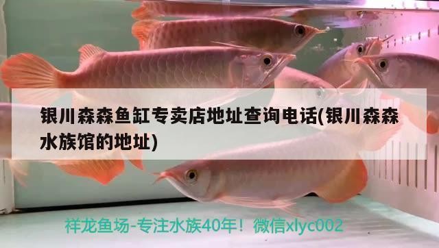 森森加熱棒和創星哪個好（森森和創寧哪個好加熱棒）
