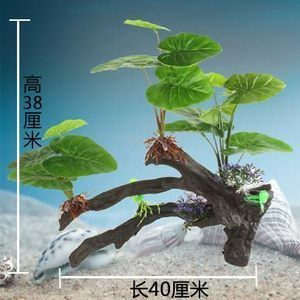 28厘米魚缸適合養什么：28厘米的魚缸適合養兩到三條小型、活潑的魚缸
