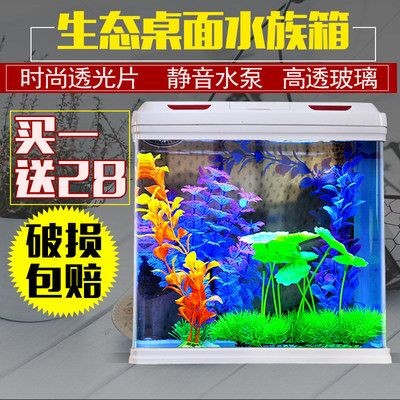 40的魚缸養(yǎng)什么熱帶魚：40厘米的魚缸適合養(yǎng)哪些熱帶魚需要注意什么樣的設(shè)備