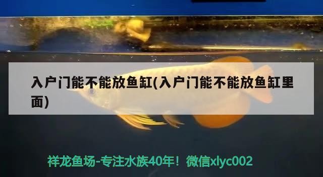 魚池過濾器、歐亞瑟池塘過濾器、伊罕池塘過濾器哪種好（錦鯉魚池過濾器、伊罕池塘過濾器、伊罕池塘過濾器哪種好） 魚池過濾器、歐亞瑟池塘過濾器、伊罕池塘過濾器哪種好（錦鯉魚池過濾器、伊罕池塘過濾器、伊罕池塘過濾器哪種好） 伊罕水族 第3張