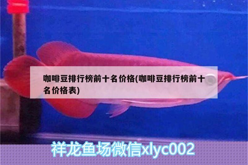 我的虎魚真菌感染了要怎么處理 咖啡豆排行榜前十名價格(咖啡豆排行榜前十名價格表) 馬來西亞咖啡 咖啡豆排行榜前十名價格(咖啡豆排行榜前十名價格表) 咖啡豆排行榜前十名價格(咖啡豆排行榜前十名價格表) 馬來西亞咖啡
