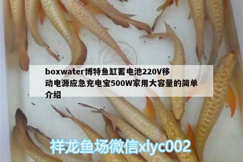 boxwater博特魚缸蓄電池220V移動電源應急充電寶500W家用大容量的簡單介紹