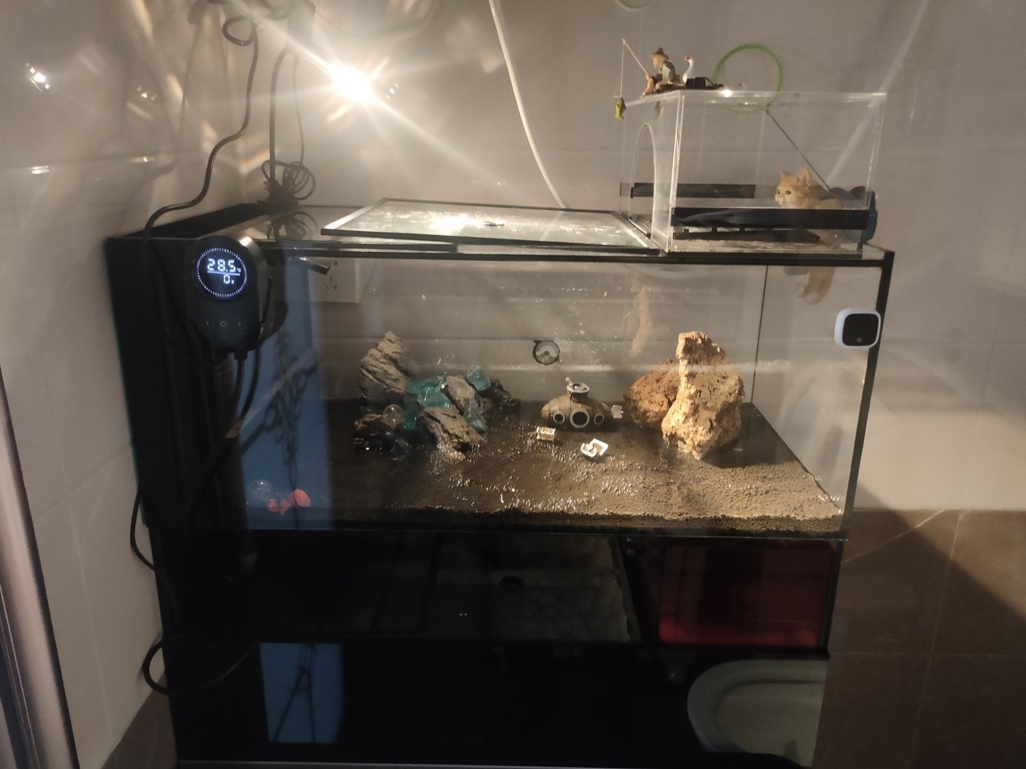 造景草缸開缸ing 造景草缸開缸ing 龍魚論壇 第2張