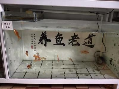 1米魚缸多厚玻璃合適養(yǎng)魚：養(yǎng)魚的1米魚缸玻璃厚度選購指南
