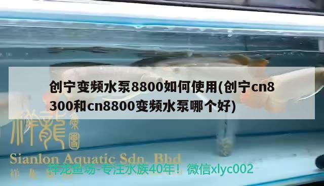 創(chuàng)寧變頻水泵8800如何使用(創(chuàng)寧cn8300和cn8800變頻水泵哪個(gè)好)
