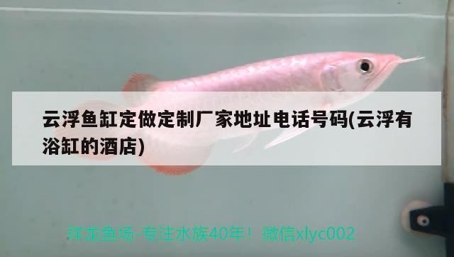 云浮魚(yú)缸定做定制廠家地址電話號(hào)碼(云浮有浴缸的酒店)
