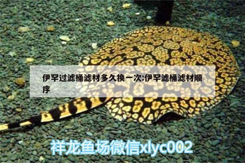 伊罕過濾桶濾材多久換一次:伊罕濾桶濾材順序