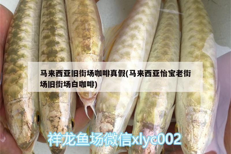 我的虎魚真菌感染了要怎么處理 馬來西亞舊街場咖啡真假(馬來西亞怡寶老街場舊街場白咖啡) 馬來西亞咖啡 馬來西亞舊街場咖啡真假(馬來西亞怡寶老街場舊街場白咖啡) 馬來西亞舊街場咖啡真假(馬來西亞怡寶老街場舊街場白咖啡) 馬來西亞咖啡