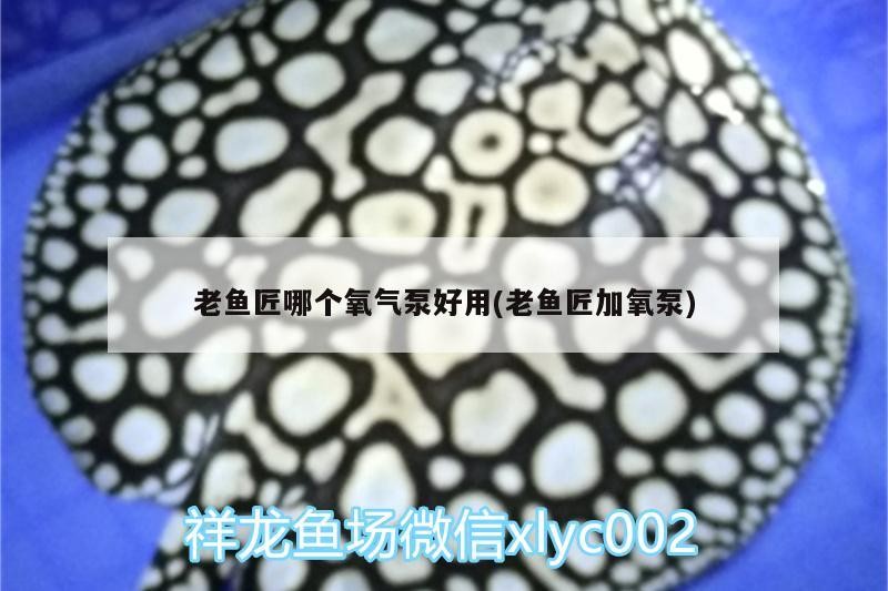 魚缸 老魚匠哪個氧氣泵好用(老魚匠加氧泵) 老魚匠 老魚匠哪個氧氣泵好用(老魚匠加氧泵) 老魚匠哪個氧氣泵好用(老魚匠加氧泵) 老魚匠