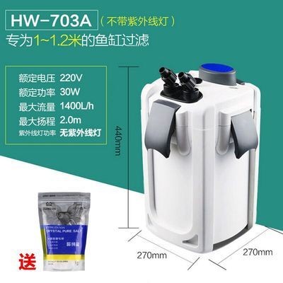 廣州最大的熱帶魚批發市場在哪里啊多少錢