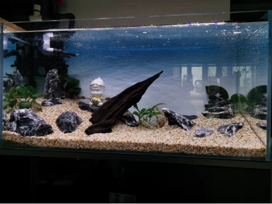 老魚匠水泵官網（老魚匠水泵質量怎么樣）