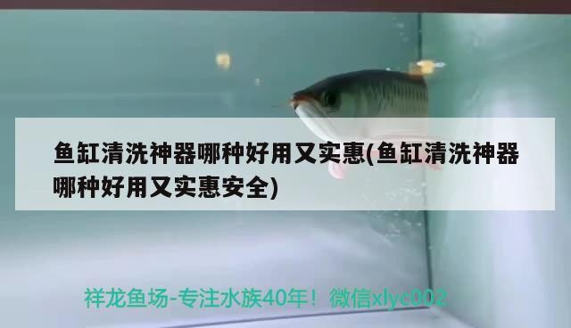 魚缸清洗神器哪種好用又實惠(魚缸清洗神器哪種好用又實惠安全)