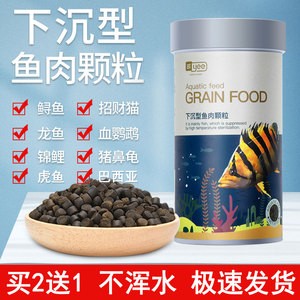孔雀魚毫無征兆就死了，原因分析與預防措施
