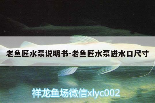 老魚匠水泵說明書:老魚匠水泵進(jìn)水口尺寸